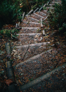 vhord:  itakephotosofallthethings:  A Morning Forest Walk Wallace Falls, WA More photos by John Westrock on Flickr.   strictly nature 