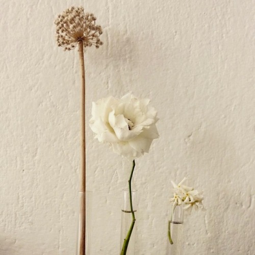 Back home! #lastroses #driedflower #emporiobabette #homedecor #ecoweddingdecor #simpleisbeauty #gree