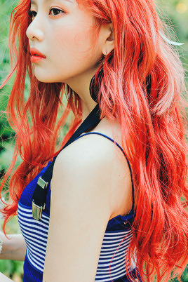 dumblets:The red summer.