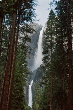 Eartheld:  Givncvrlos:  22/52: Through The Trees. | Cody William Smith  Mostly Nature
