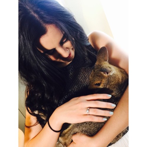 Sugaaa❤️❤️ Fell in love with a baby miniature wallaby..in Australia. by laurenjauregui