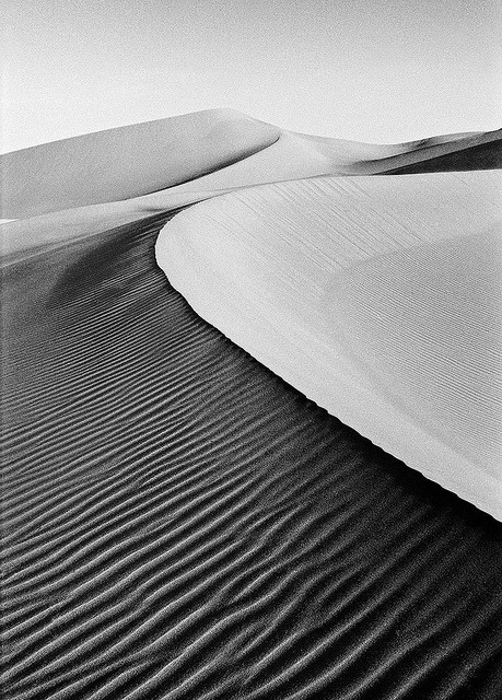 metaphorformetaphor:Soft Windswept Dunes, Sahara Desert by Robert Moran. on Flickr.