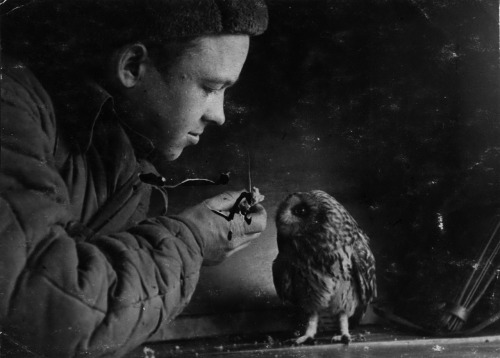 random-russian-stuff:Soviet soldier feeding an owl.