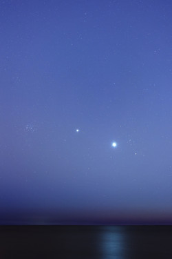 astronomyblog:  Aldebaran, Venus, Jupiter