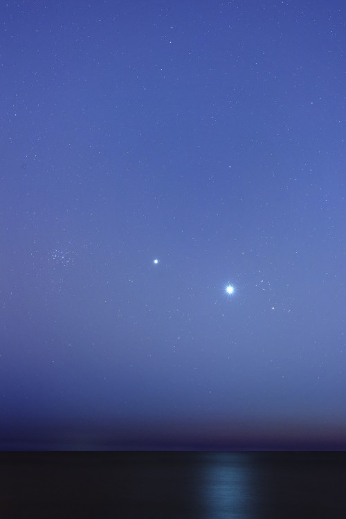 astronomyblog:Aldebaran, Venus, Jupiter and Pleiades - Buenos Aires, Argentina.Image credit: Luis Ar