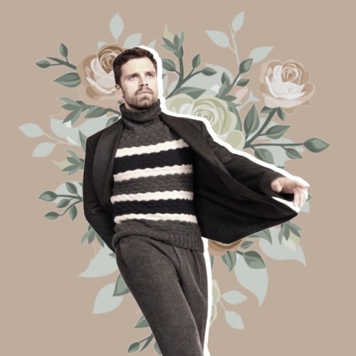 wi-atch: Sebastian Stan Icons! ♡ (Anyone can use)