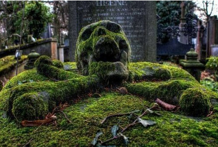 sixpenceee:A skull gravestone overgrown with moss. This is located in Brugge General Cemetery in Bel