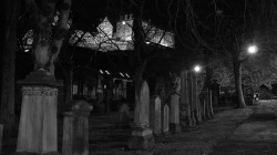 taphophilia:   	nocturnal boneyard and Edinburgh