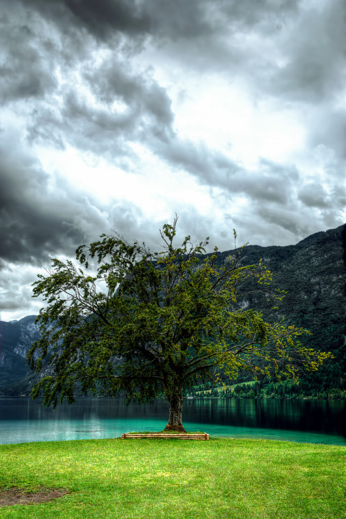 breathtakingdestinations:  Bohim Lake - Slovenia (by Vicente Villamón)