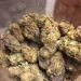 qpsandup:200$ an OZ Blue Sherbert 