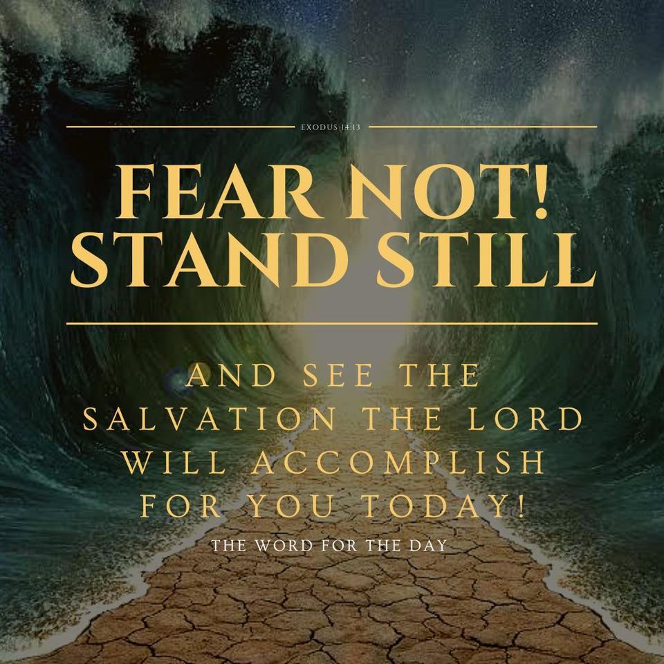 The Word For The Day — Moses said, “Do not fear! Stand still and see the...