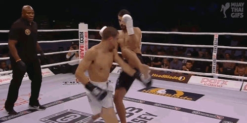 Matt Embree knocked out Giga Chikadze in the finals of the Glory featherweight tournament at Glory 3