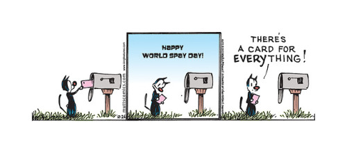 World Spay Day was only one day but every day is a good day to spay! 