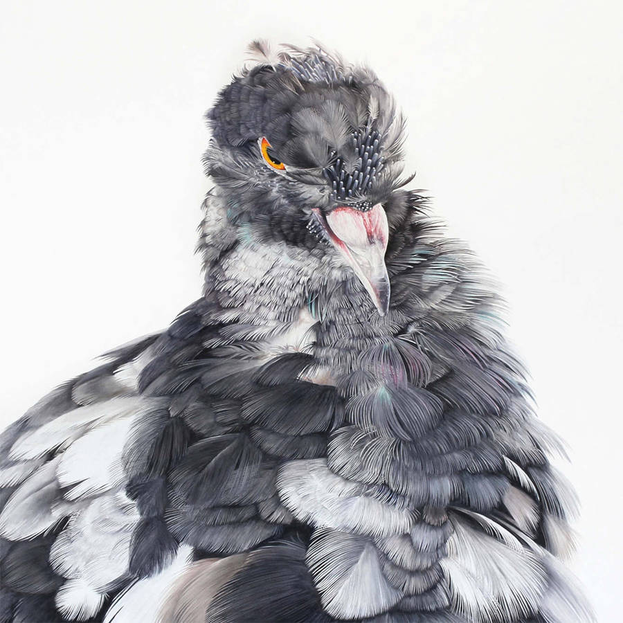 fat-birds:  npr:  culturenlifestyle:  Adele Renault Paints Incredibly Realistic Pigeon