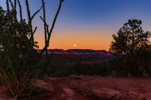 Moonrise over Sedona.www.instagram.com/carolynbaumann/twitter.com/carolyn_baumann