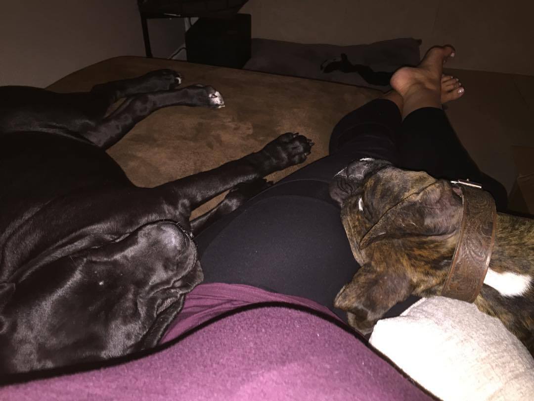 Ending my day w snuggles and Christmas movies ✨ by 6feetofsunshine