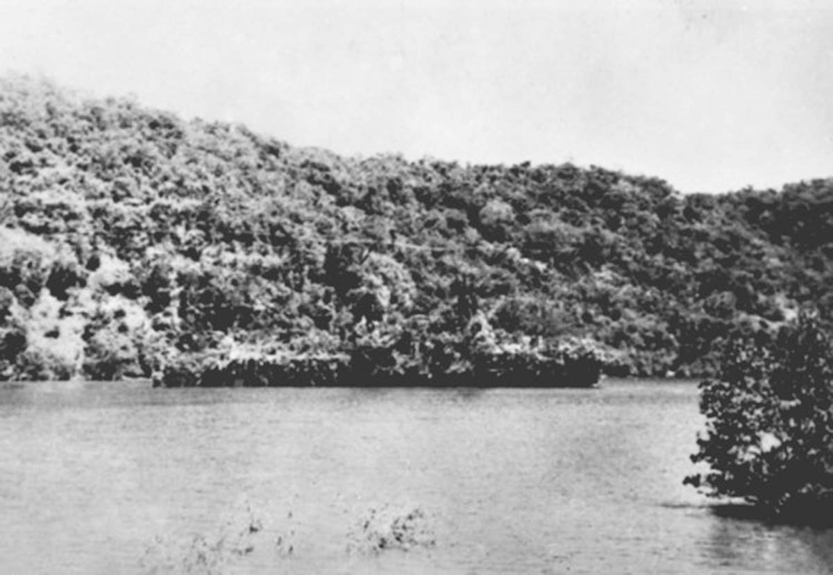 Dutch East Indies Campaign Tumblr Gallery dutch-east-indies-campaign-tumblr-gallery