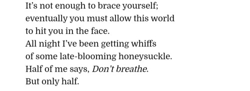 Carrie Fountain, From "Late Spring In The Mesilla Valley", Burn Lake