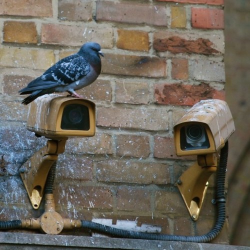 urban-sorcerer:  Matthew Swift, urban sorcerer, Blue Electric Angels, Midnight Mayor of London. In t