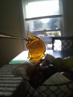 Concentrate-Cunt:  Justfriggineric: Blueberry Haze.