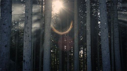 dirtyhippieproductions:  “To me, being spiritual means…whispering to trees, laughing wi