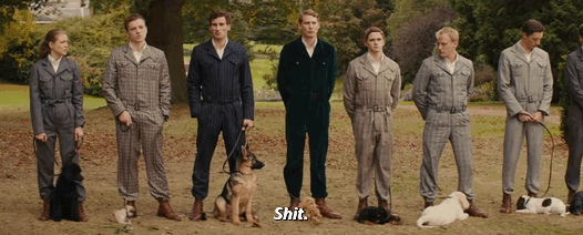 richmondvalentines: “Pick a puppy.”