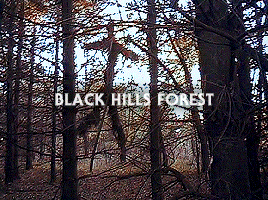 camp-crystallake: Favorite horror locations