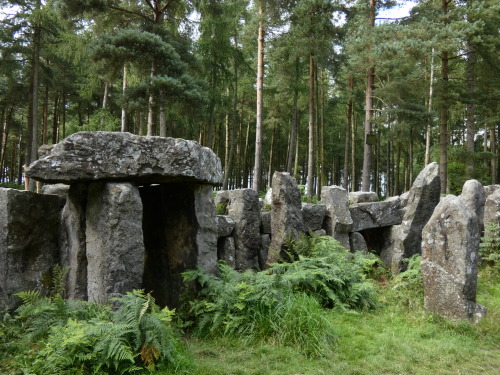 seidmadur:thesilicontribesman:Ilton Temple, Masham, Yorkshire, 14.8.17.I need to go therenow prefera