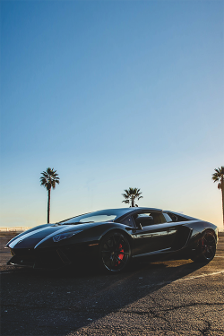 wearevanity:  The Lamborghini Aventador © 