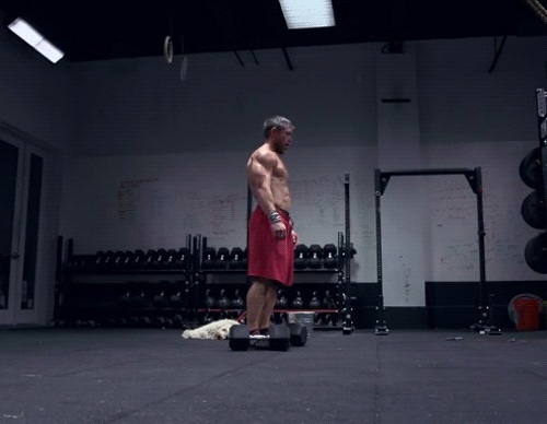 Eat. Lift. Live.