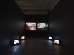 contemporary-visual-art:  Carolee Schneemann, Devour, 2003–4, multi-channel video installation, 3 minutes, 37 seconds, installation view, at Galerie Lelong. ©CAROLEE SCHNEEMANN/COURTESY GALERIE LELONG, NEW YORK
