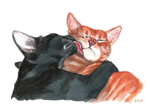 blackkingsdream:Kylux Cats AU