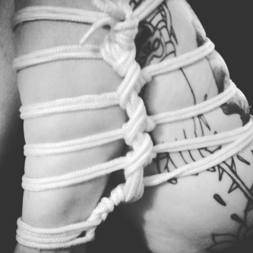 #フトモモ #shibari #shibariart #futomomo #rope & #knots