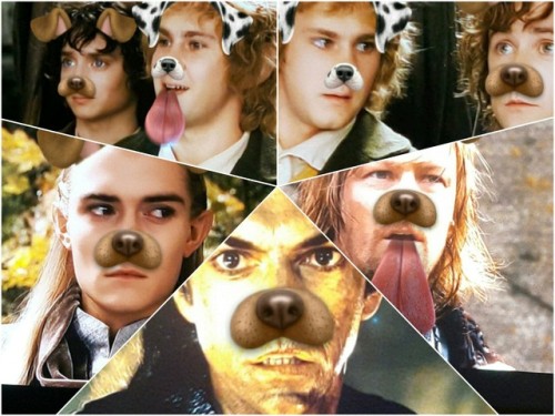 Fellowship of the doggo filter