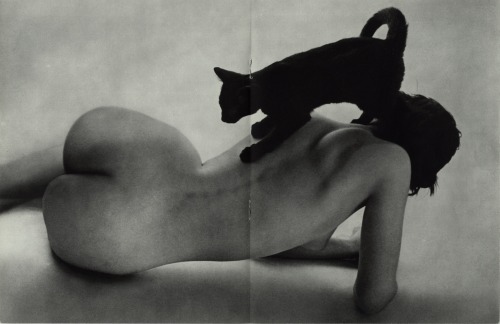 gothish:Nude with Cat by Peter Martin for