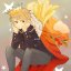 incorrect-princeseries