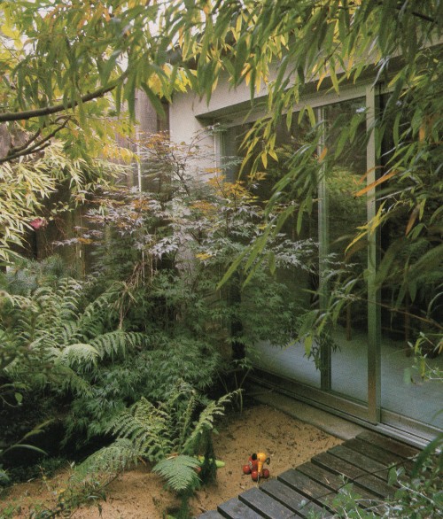 vintagehomecollection:Shade planting with Japanese flavor. The planting plan of this small rear gard