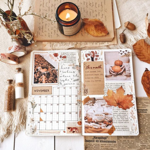 bullet journal spread november // coldbujo @ ig 