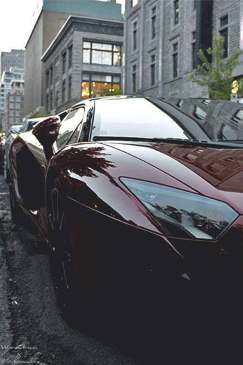 mistergoodlife:  Aventador close up photographed by Mr. Goodlife - Edit by Wormatronic