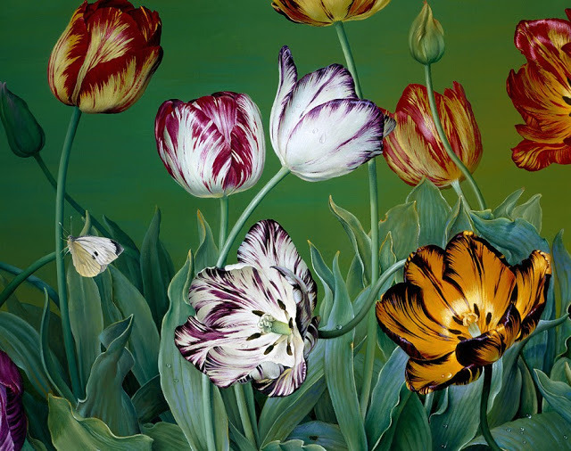 yolandart:  Jose Escofet. Born in the Catalan province of Barcelona in 1930.
