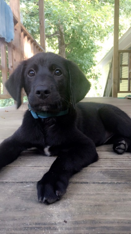 farmerstansandbarefeet:  Look at my baby 😍  Aww she looks like Val 😍😊