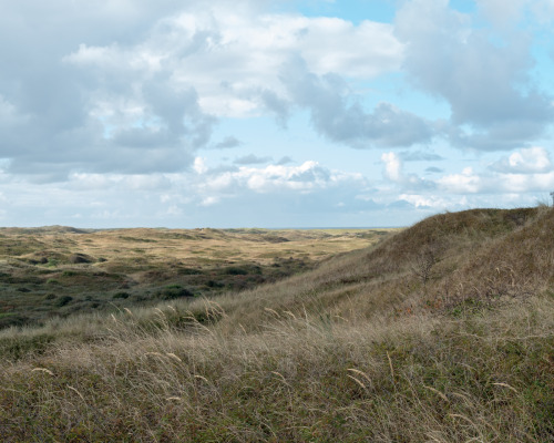 Scott D. Norris, Texel, Netherlands, 2017