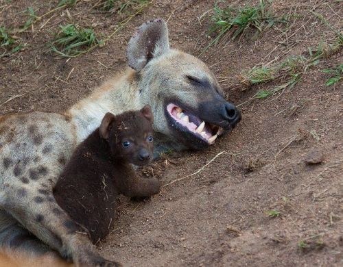 Happy New Yeens!