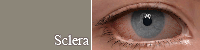 Eyes 01 Heterochromia version &amp; Overlay setHeterochromia- Found in Skin Detail/Face scars(Ge