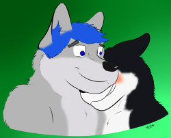 theneo-senpai:  (\OwO/)videohusky​ You