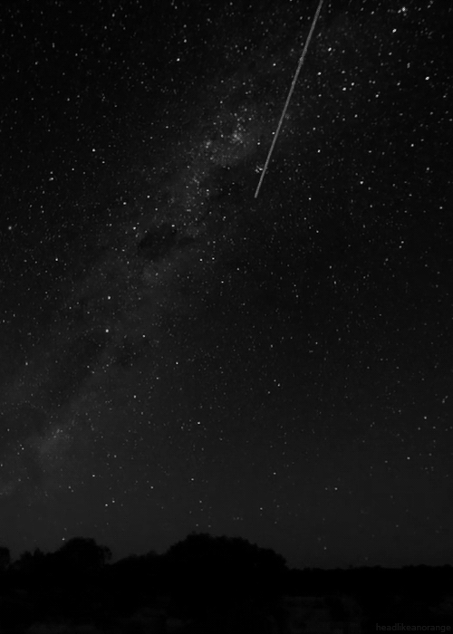 vilenavila:  *-*Whenever you see a falling star,you make a wish!*-*