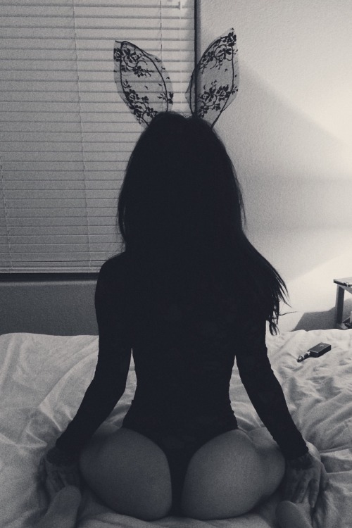 helainetieu:  Hopping around bed & doing other rabbit stuff together.   Instagram - @HelaineRose