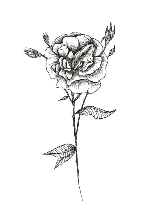 flower tattoo design