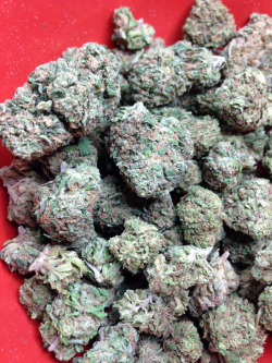 packthat-bowl:  Deadhead Og