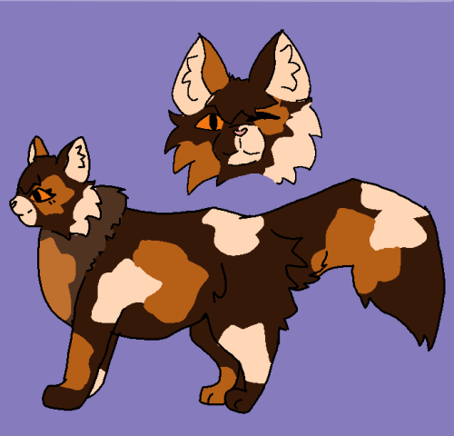 Warrior Cats Art Progress